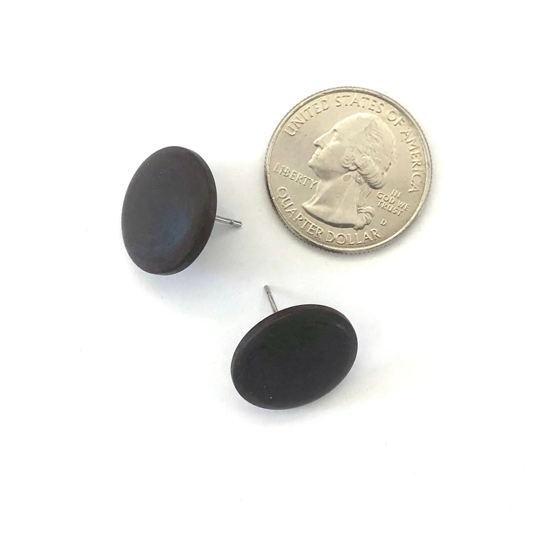 Black Lucite Disc Studs Earrings