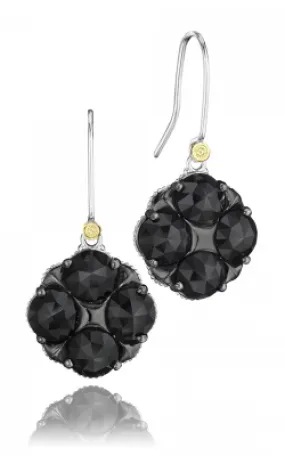 City Lights  Black Onyx Earrings