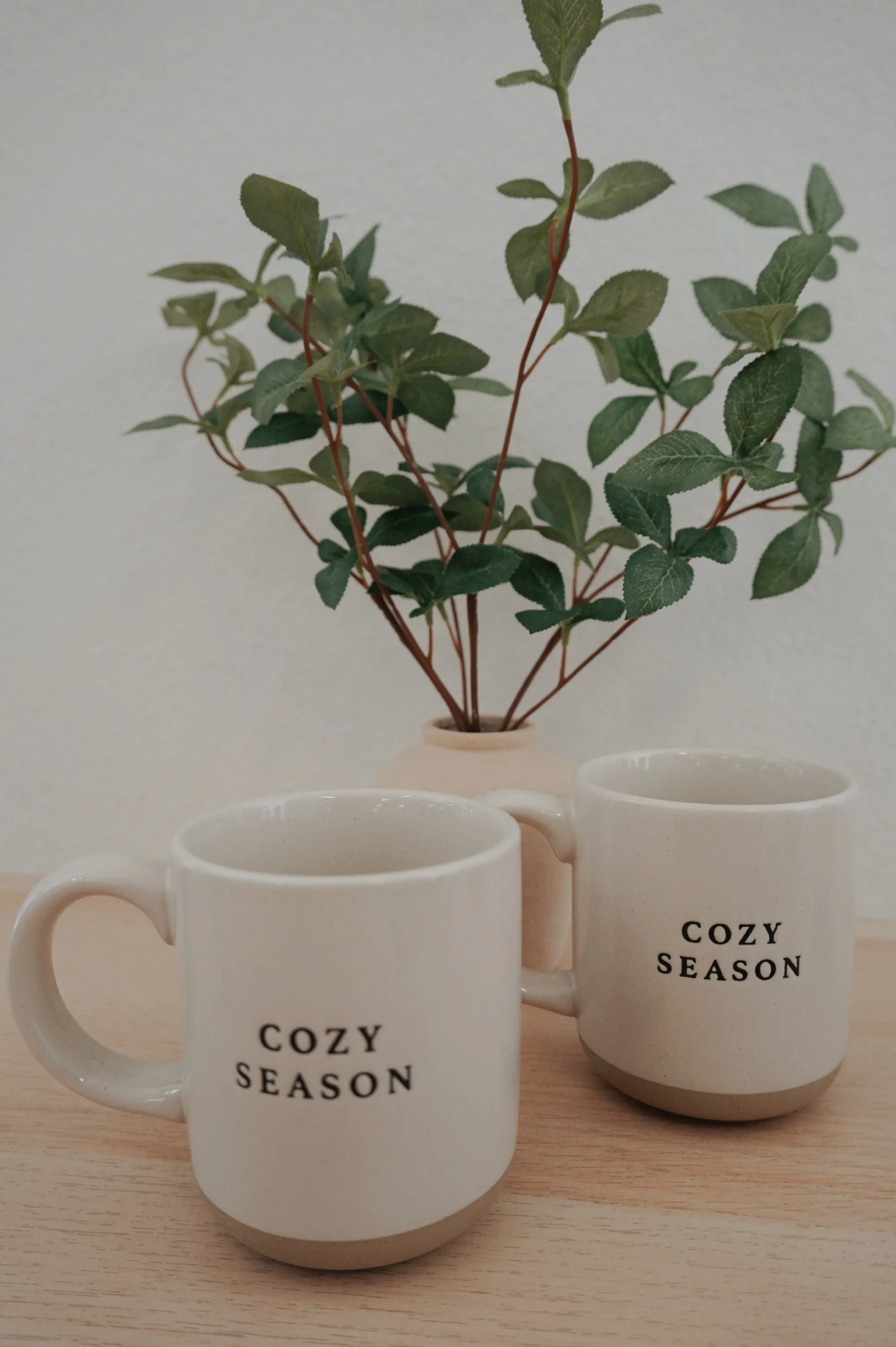 Cozy Season Mug