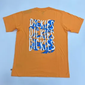 Dickies Cresswell Logo Graphic T-Shirt