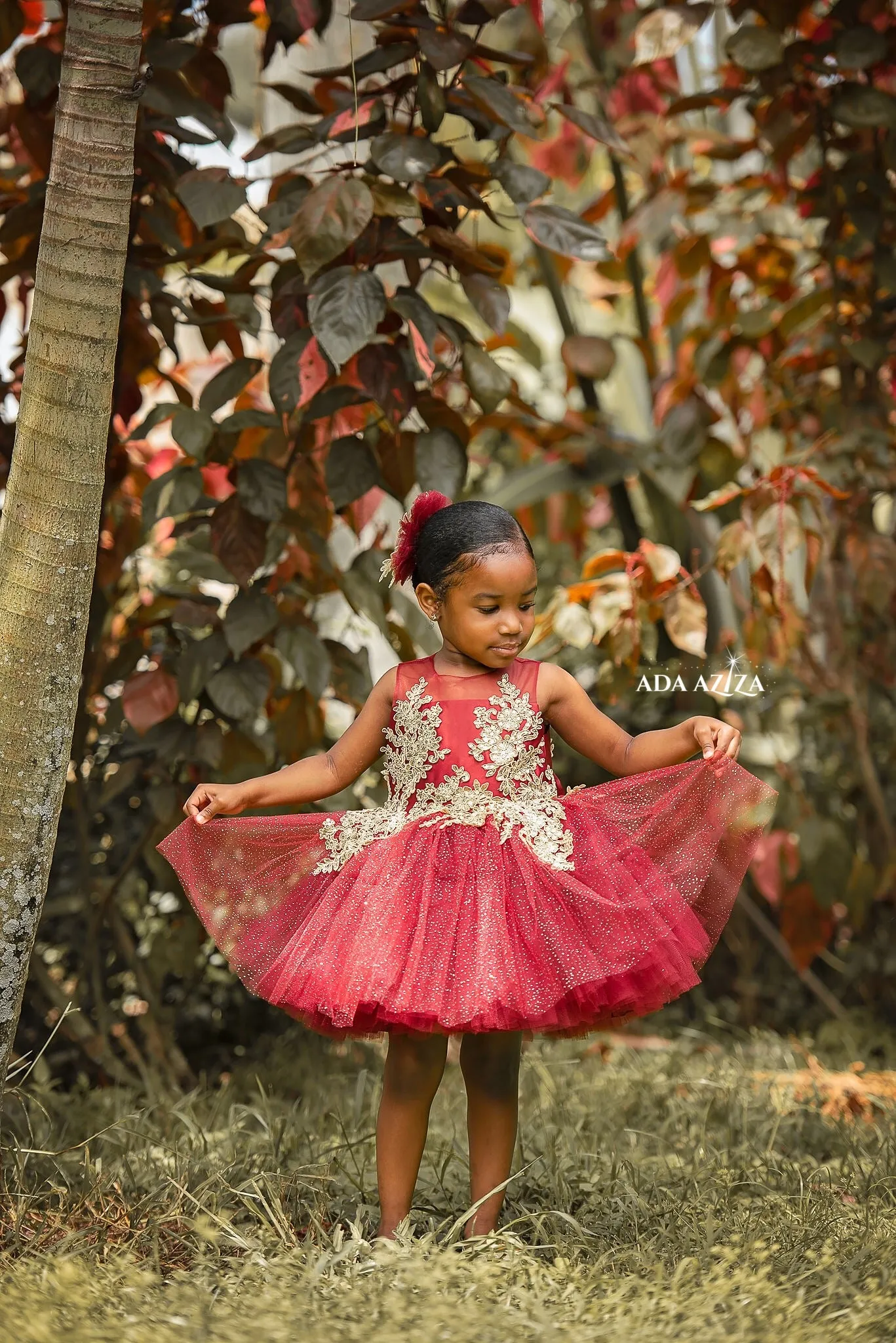 Gianna Dress Burgundy