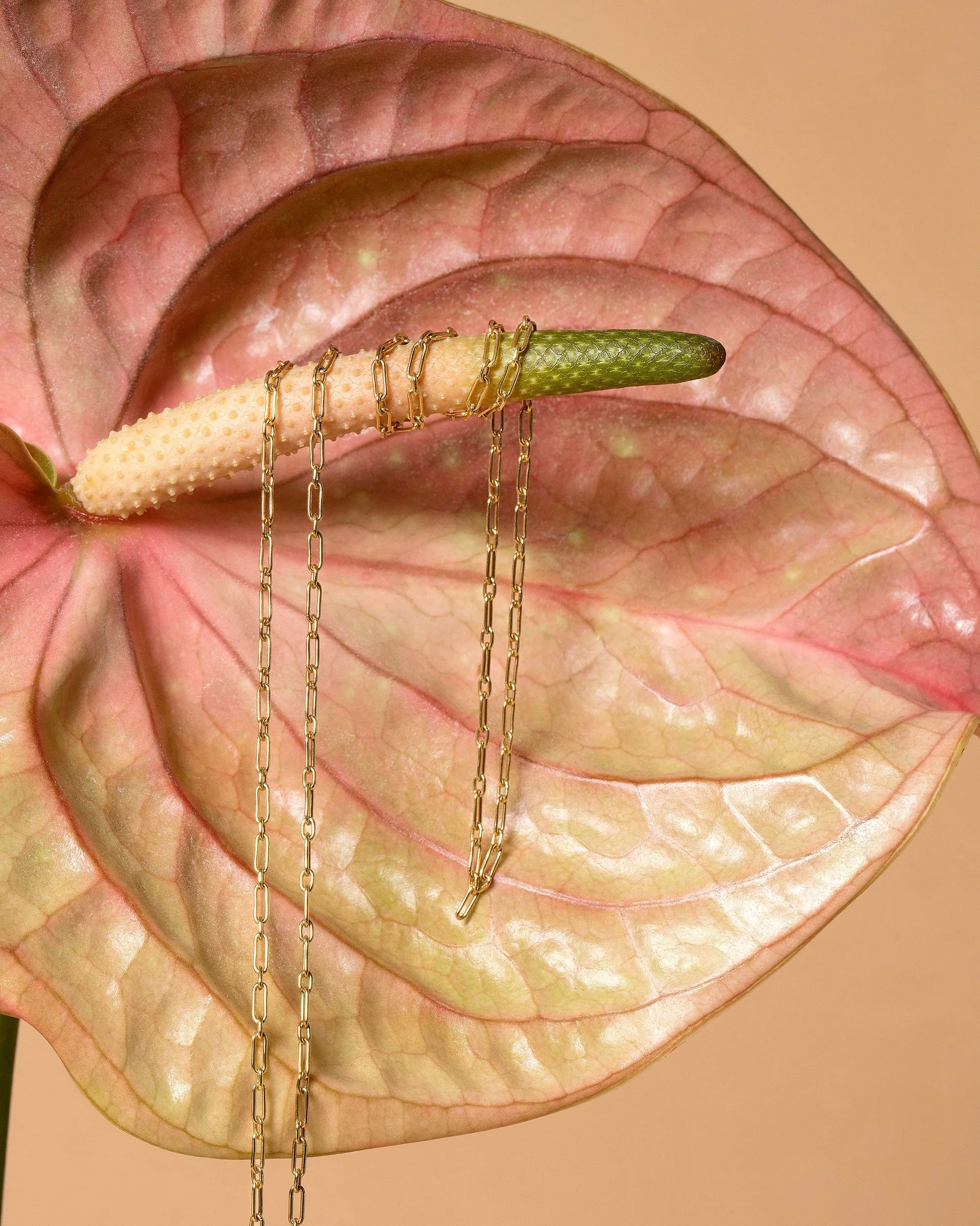 Hot Dog Chain Necklace