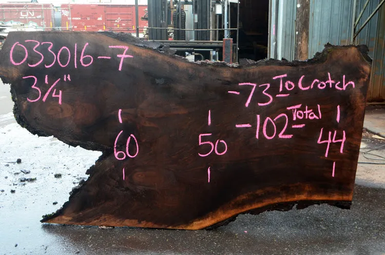 Oregon Black Walnut Slab 033016-07