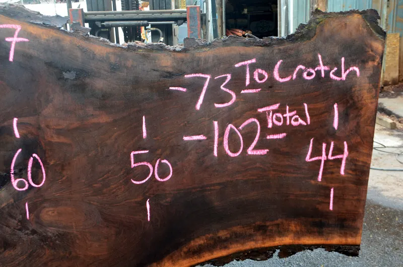 Oregon Black Walnut Slab 033016-07