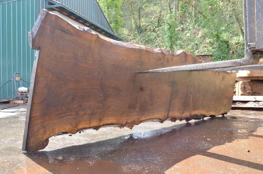 Oregon Black Walnut Slab 040122-08