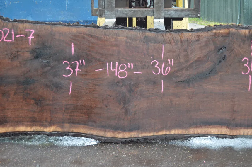 Oregon Black Walnut Slab 052021-07