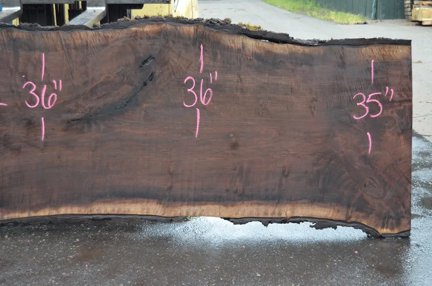 Oregon Black Walnut Slab 052021-07