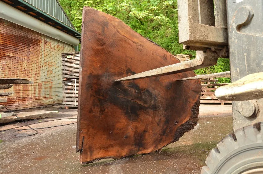 Oregon Black Walnut Slab 052722-05