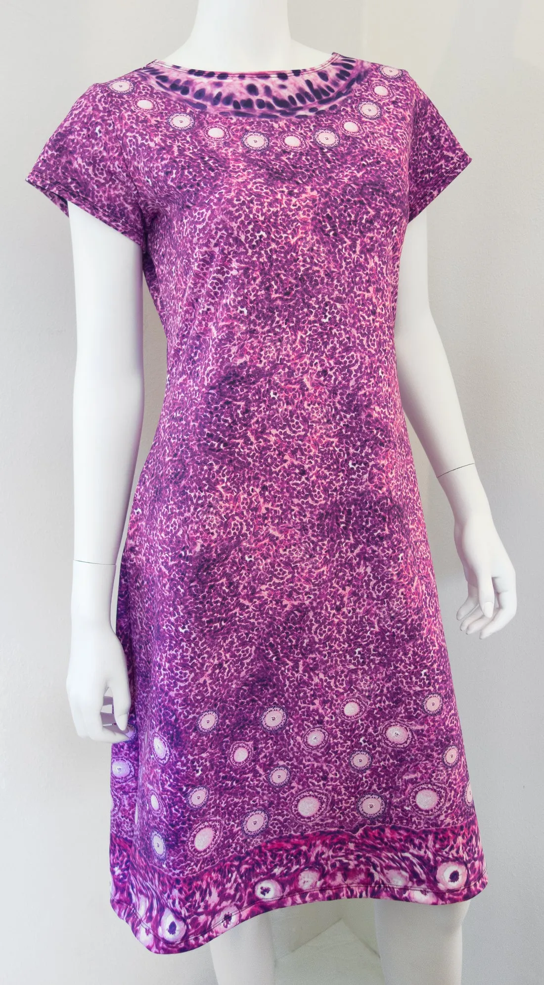 Ovarian Histology Dress